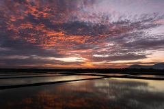 Natural Salt Fields