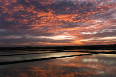 Natural Salt Fields