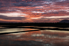 Natural Salt Fields