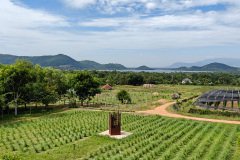 La Plantation