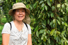 La Plantation
