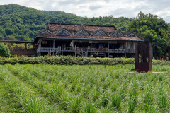 La Plantation