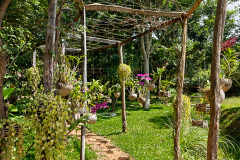 La Plantation