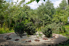 La Plantation