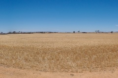 B076851-Pano