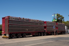 D070089