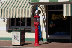 D070132