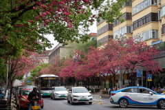 Kunming, Yuantong Street, 圆通街