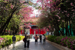 Kunming, Yuantong Street, Yuantong Temple, 圆通禅寺, 圆通街
