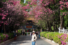 Kunming, Yuantong Street, Yuantong Temple, 圆通禅寺, 圆通街