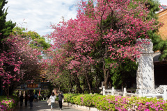 Kunming, Yuantong Street, Yuantong Temple, 圆通禅寺, 圆通禅寺记碑, 圆通街