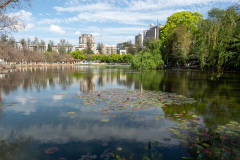 Green Lake, Kunming, 翠湖公园