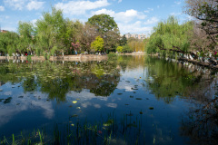 Green Lake, Kunming, 翠湖公园