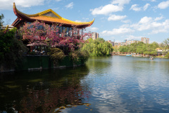 Green Lake, Kunming, Maan Coffee, 漫咖啡, 翠湖公园
