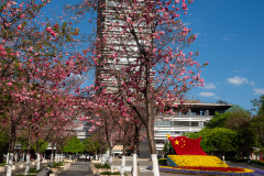 Kunming, Wuhua District Government, 政府大楼