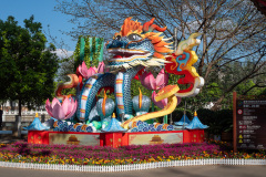 Cuihu South Road, Green Lake, Kunming, 翠湖公园, 翠湖南路