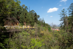 Dianchi, Kunming, Xishan Forest Park, 滇池, 西山公园