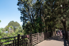 Kunming, Xishan Forest Park, 西山公园