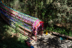 Kunming, Xishan Forest Park, 西山公园