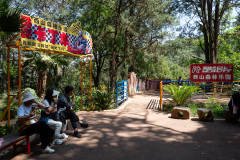 Kunming, Xishan Forest Park, 西山公园