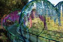 Kunming, Xishan Forest Park, 西山公园