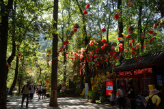 Kunming, Xishan Forest Park, 西山公园