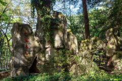 Kunming, Xishan Forest Park, 西山公园