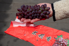 Kunming