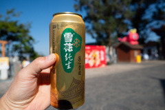 Kunming, Xishan Forest Park, 茶马花街, 西山公园