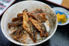 Kushiro, Kushiro Fisherman's Wharf MOO, Uomasa, 釧路, 魚政