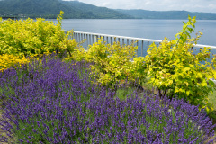 Toyako, Toyakoguruttochokoku Park, Toyakoonsen