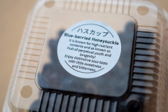 Toyako, Toyakoonsen, Wakasaimo Honpo Lake Toya main store