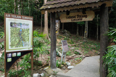 D050824