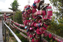 D060854