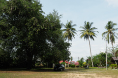 D060886