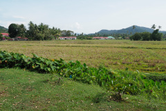 D060888