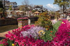 Lijiang, Lijiang Old Town, Yuhe River, Yuhe Square, Yulong Snow Mountain, 丽江, 丽江古城, 玉河, 玉河广场, 玉龙雪山