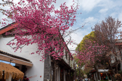 Lijiang, Shuhe Ancient Town, 丽江, 束河古镇