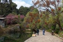 Jiuding Longtan, Lijiang, Shuhe Ancient Town, 丽江, 九鼎龙潭, 束河古镇