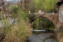 Lijiang, Qinglong River, Shuhe Ancient Town, 丽江, 束河古镇, 青龙河
