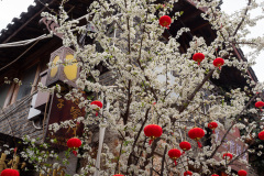Lijiang, Shuhe Ancient Town, 丽江, 哈里谷, 束河古镇