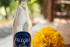 Ban Xiang-Nouak, Naga Lodge