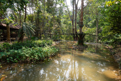 Ban Xiang-Nouak, Nahm Dong Park