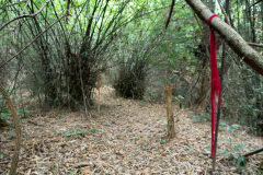 Ban Xiang-Nouak