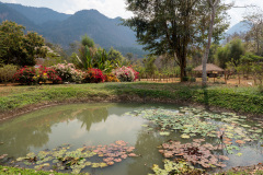 Ban Xiang-Nouak, Hillside - Nature Lifestyle Lodge