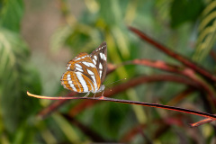 Ban Xiang-Nouak, Hillside - Nature Lifestyle Lodge