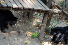 Kuang Si Waterfall, Tat Kuang Si Bear Rescue Centre - Free the Bears