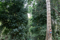 Kuang Si Waterfall, Lao Green Restaurant