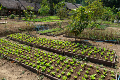 Ban Xiang-Nouak, Nahm Dong Park