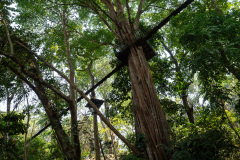 Ban Xiang-Nouak, Nahm Dong Park